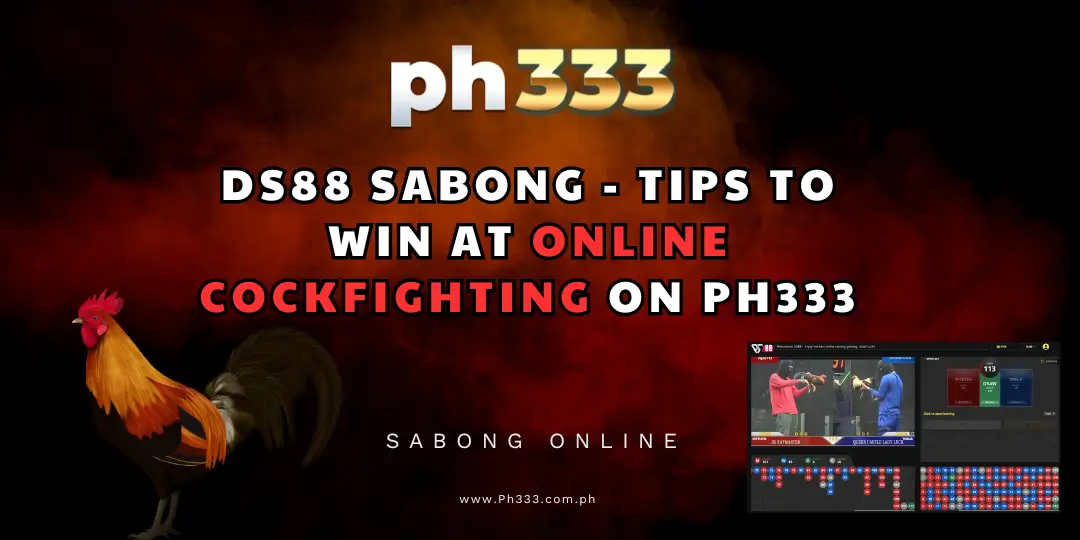DS88 Online Cockfighting at Ph333