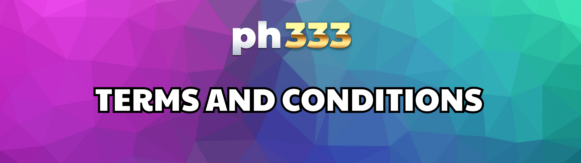 Terms and Conditions ph333