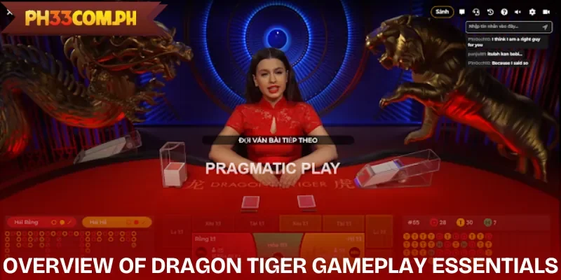ph33-dragon-tiger-overview