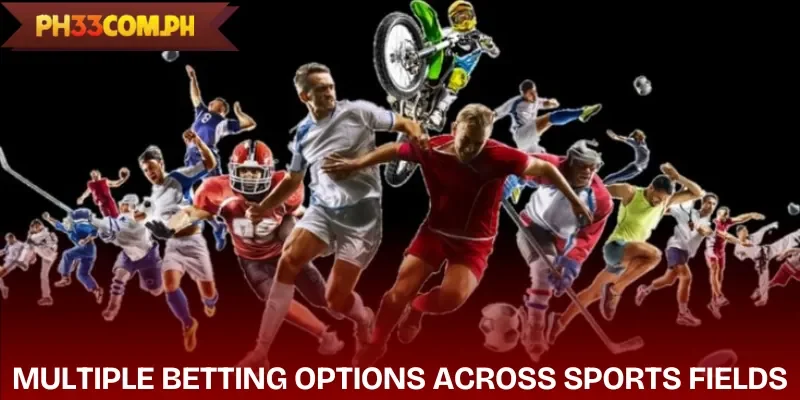sport-game-ph33-categories