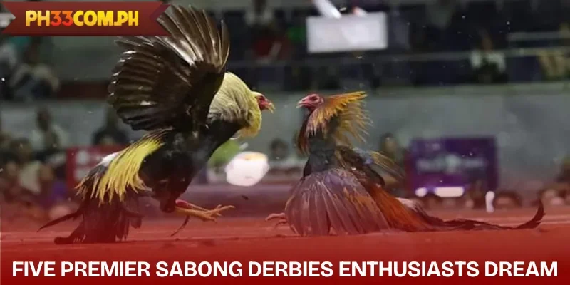 top-5-sabong-derbies-in-the-philippines-detail
